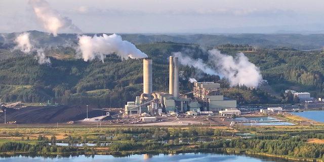 Legal Challenges: How Courts Are Responding - visual representation