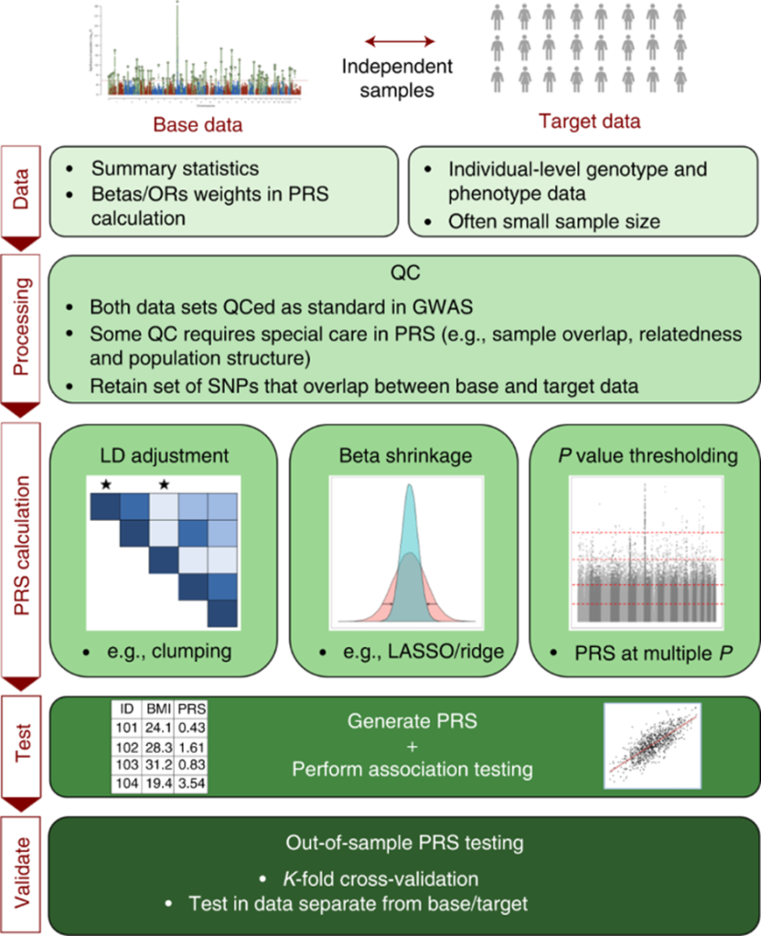 What Actually Are Polygenic Scores? - contextual illustration