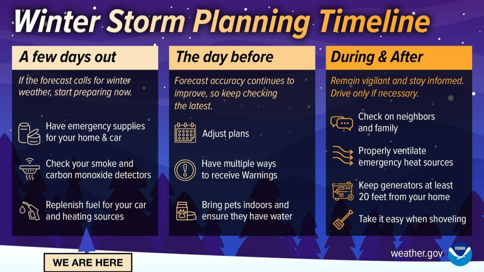 Light: When Darkness Extends 16 Hours - visual representation