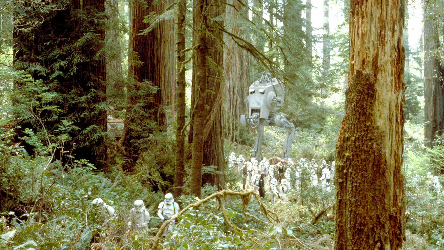 The Future of Star Wars - visual representation