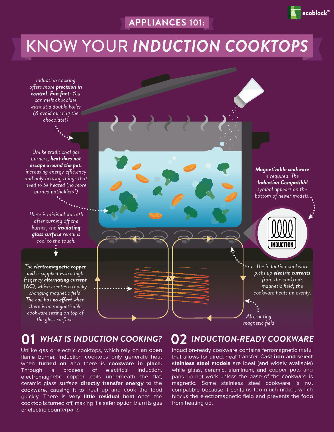 How Induction Cooking Works - visual representation