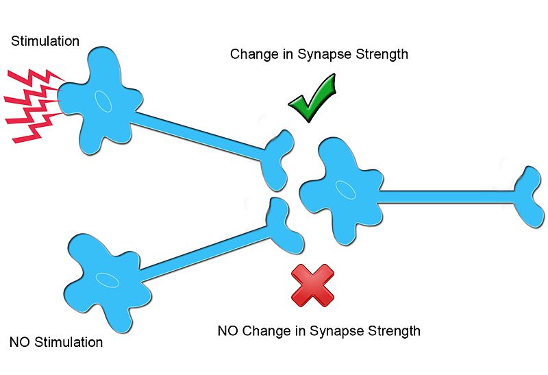 How Vaccines Might Influence Cognitive Health - visual representation