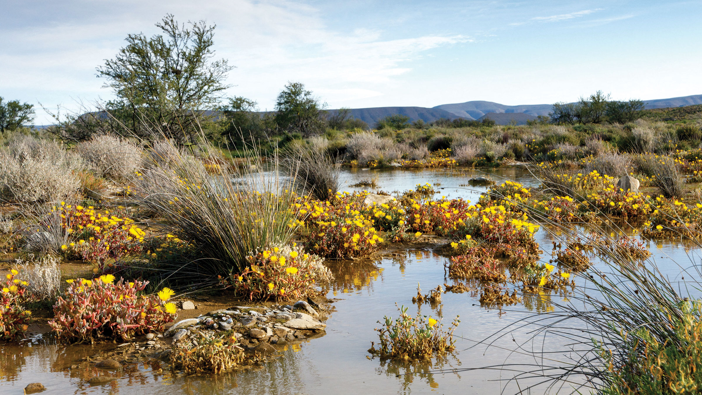 Isotopic Analysis: A Window Into Methane's Molecular Secrets - visual representation