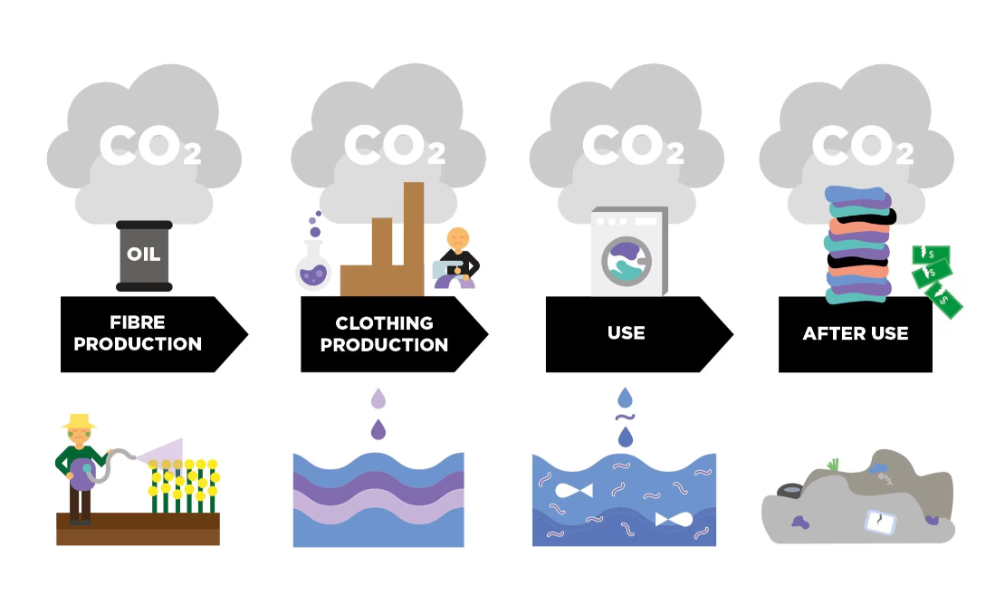 Conclusion - visual representation