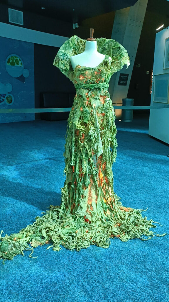 Future Trends in Sustainable Fashion - visual representation