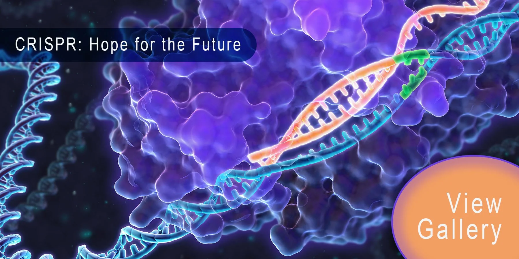 Tropical Viruses and Beyond: Could This Work for More Than Just Flu? - visual representation