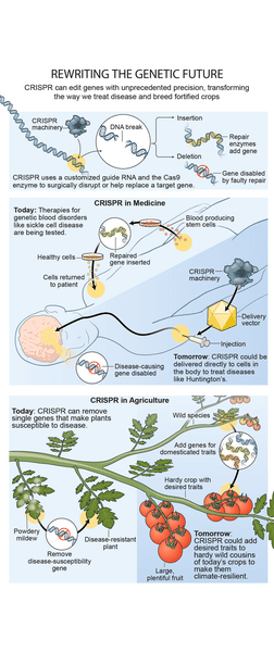 The Economic Argument: Cost and Production - visual representation