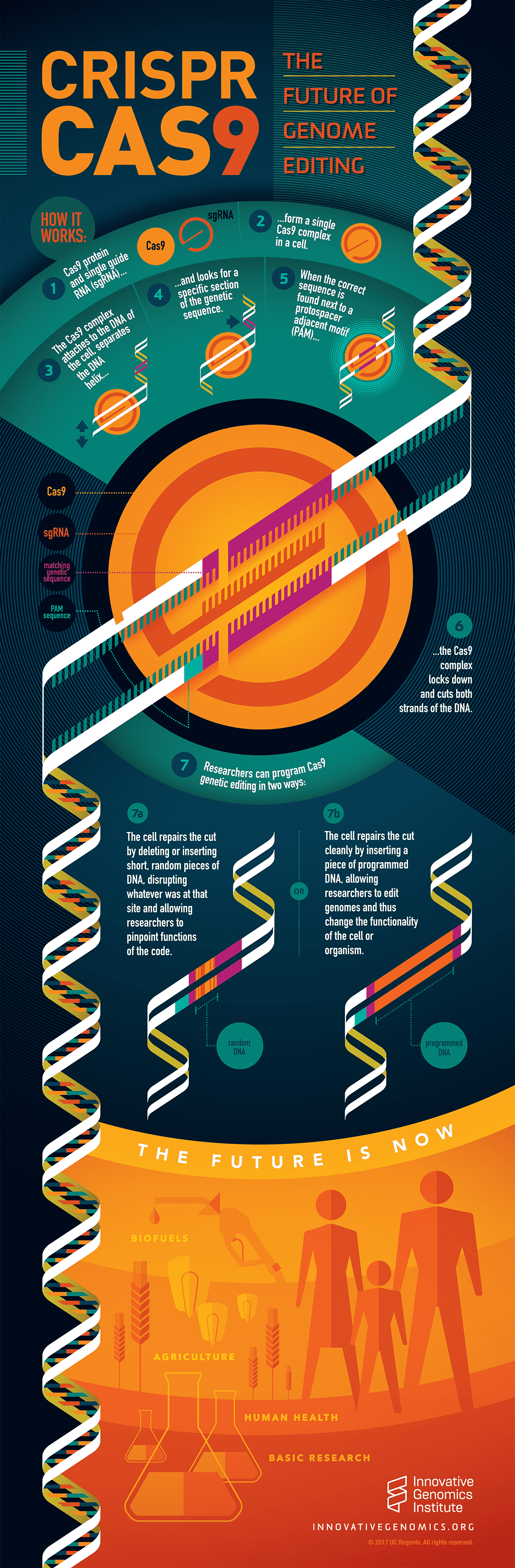 The Ethical Landscape: Why This Matters Beyond Medicine - visual representation