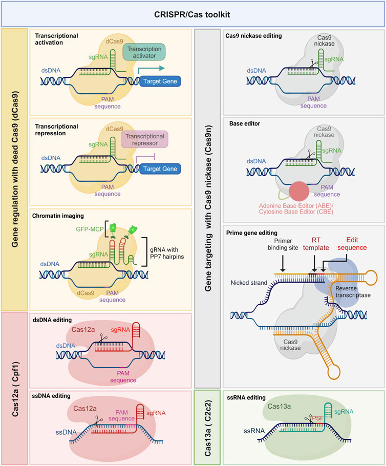 FAQ - visual representation