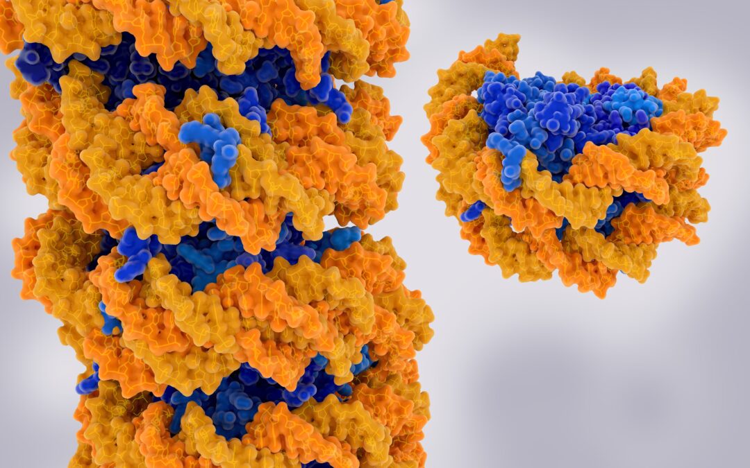 Competitive Landscape: Who Else Is in This Space - visual representation