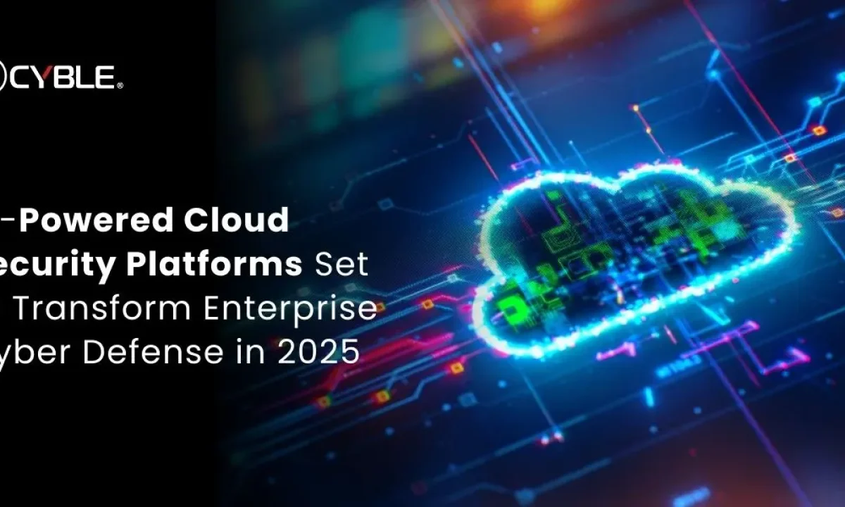 Blind Spot #5: Non-Technical Business Users Have Admin Privileges Nobody Reviews - visual representation