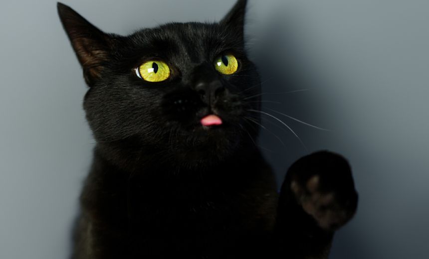 The Bottom Line - visual representation