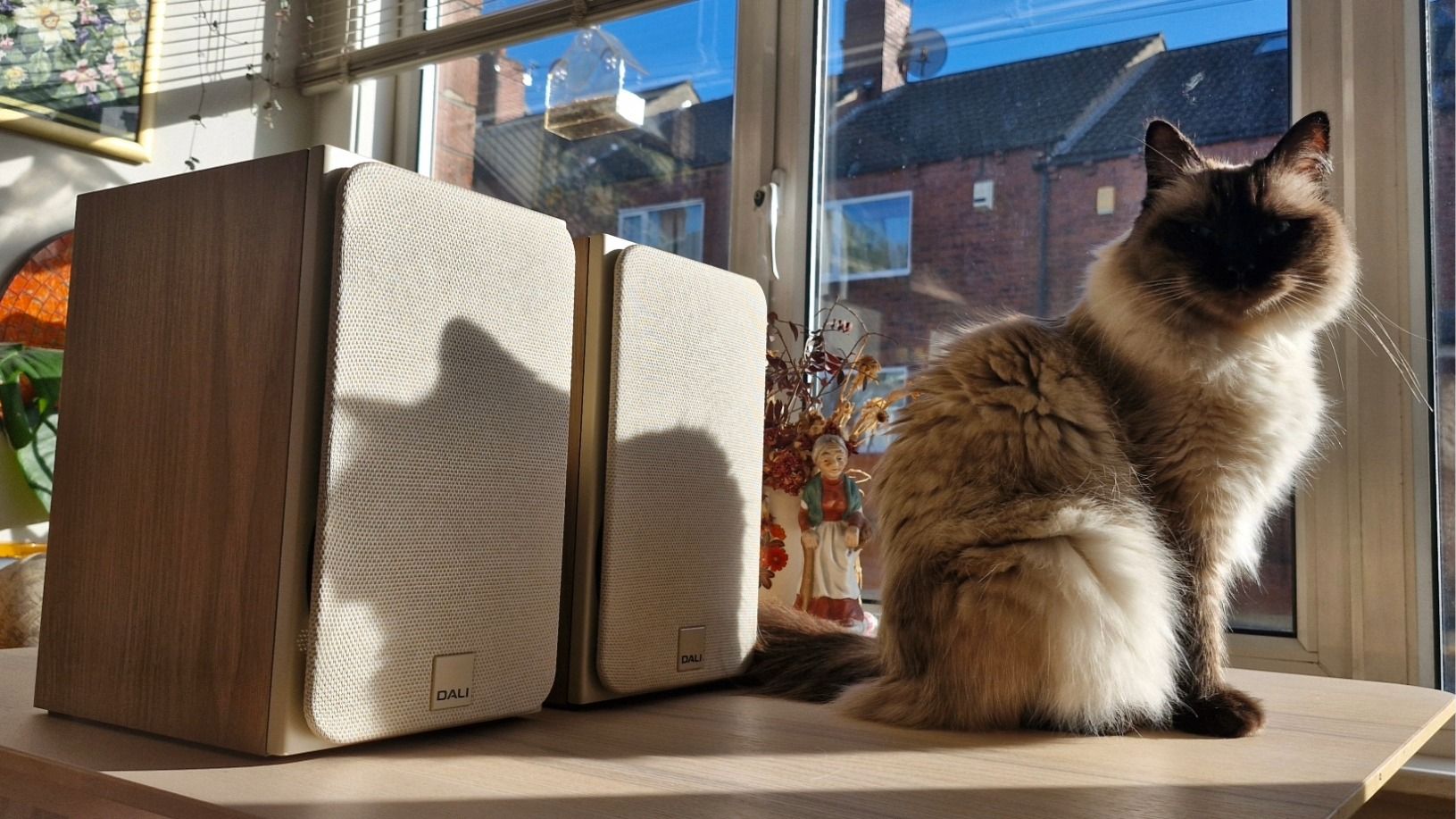 Dali Sonik 1 review: entry-level bookshelf speakers that are crystal clear, fathoms deep and sound at least twice their size | TechRadar