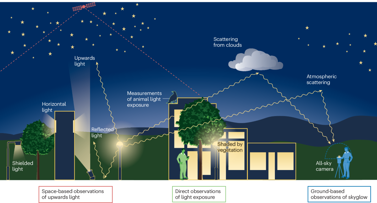 Future Trends and Recommendations - contextual illustration