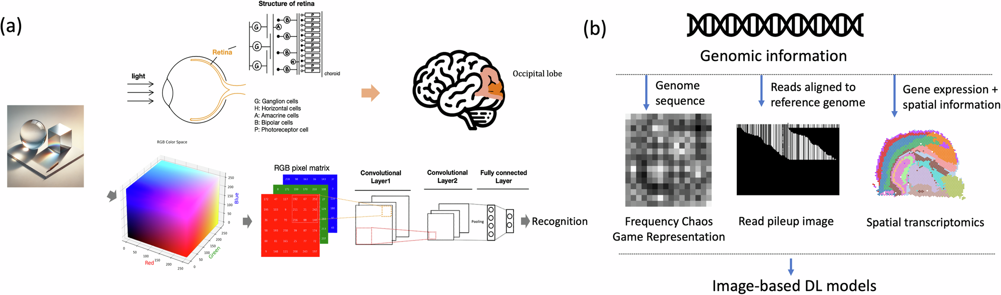 The Rise of AI in Genomics - visual representation