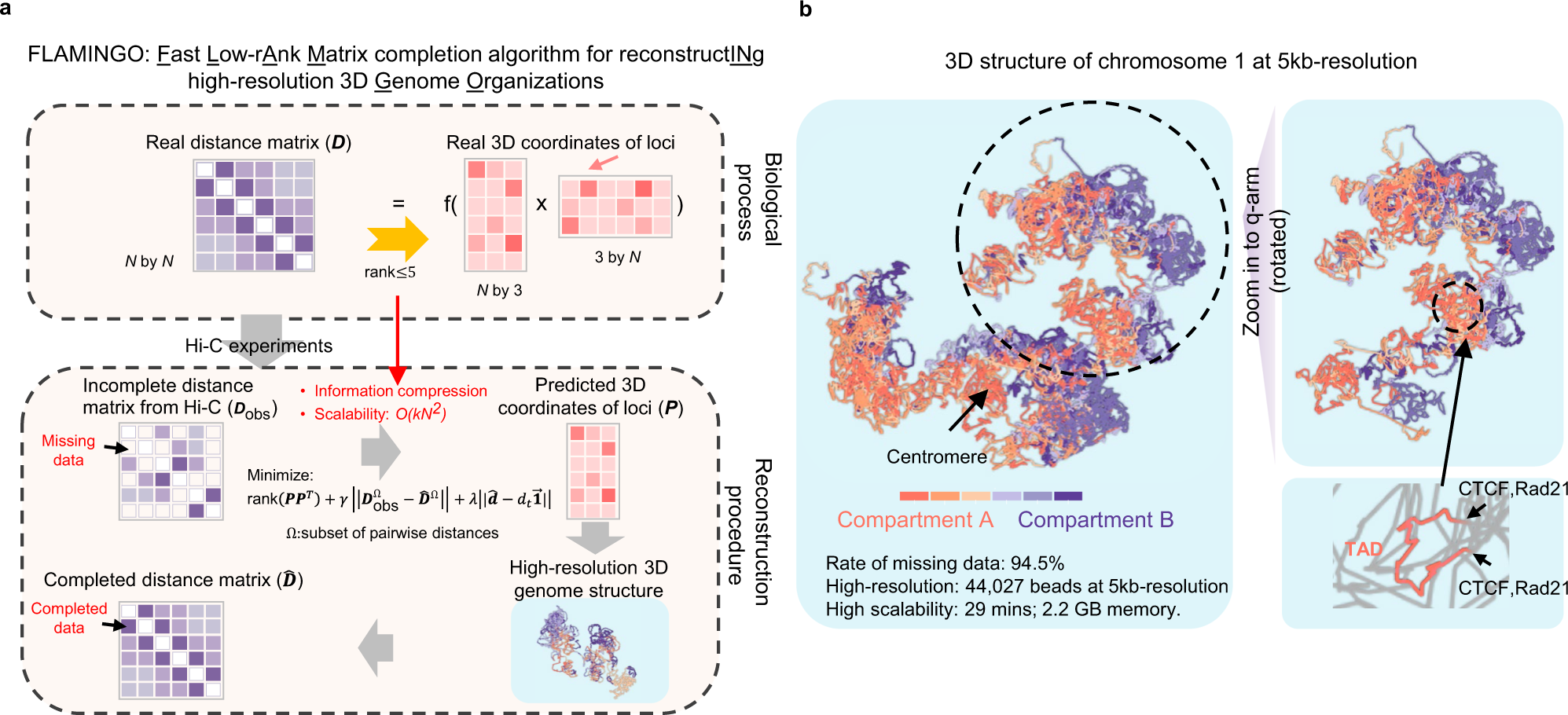 Understanding Large Genome Models - visual representation