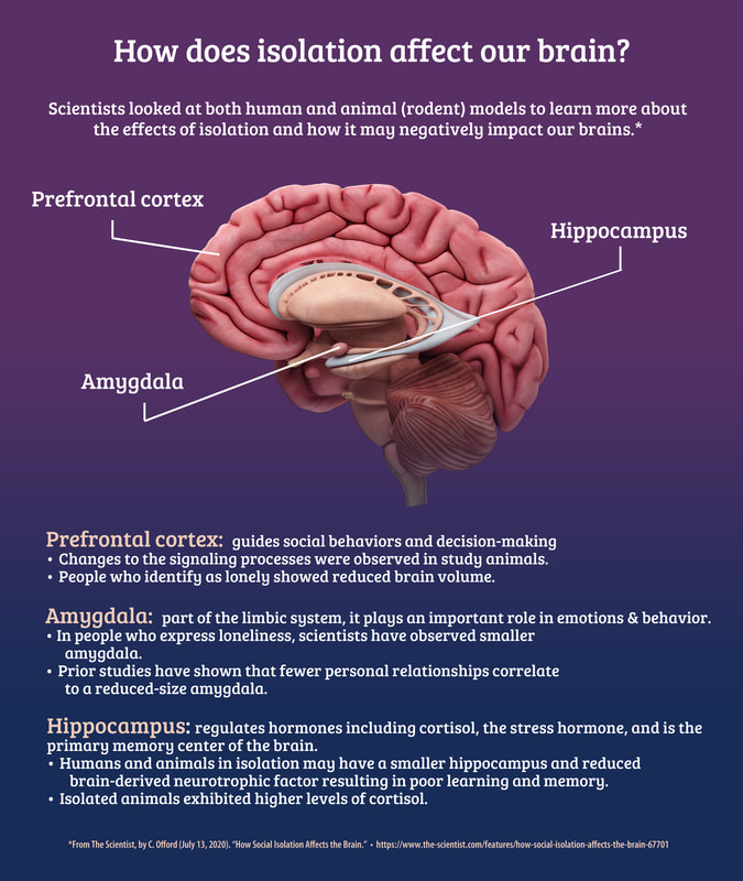 The Connection Between Loneliness and Memory - contextual illustration