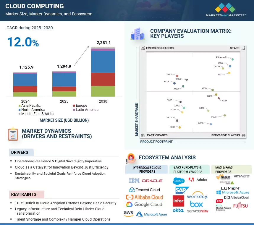 The Competitive Landscape - contextual illustration