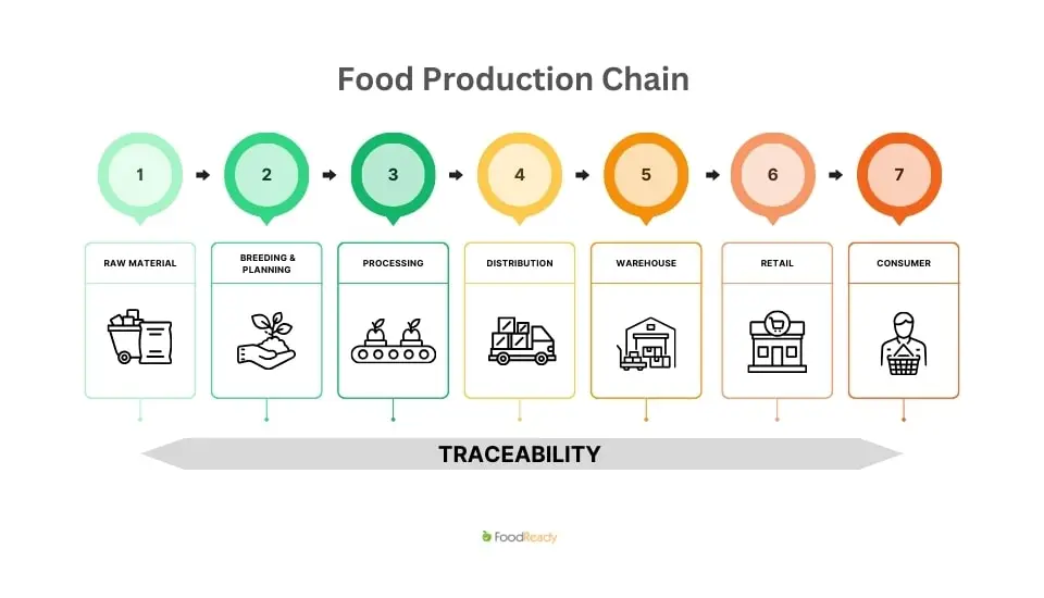The Role of Food Safety Protocols - visual representation