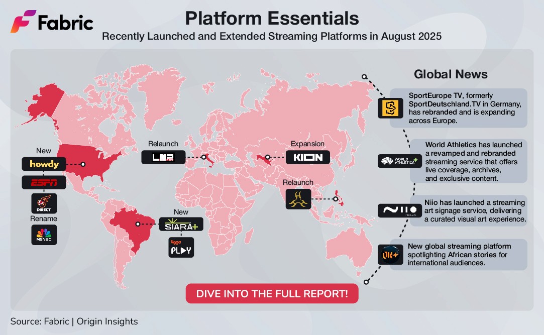 The Global Streaming Landscape - visual representation