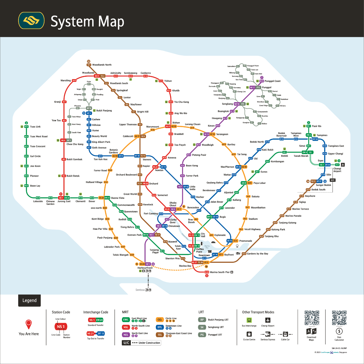 Introduction: Understanding the Urban Pulse - visual representation