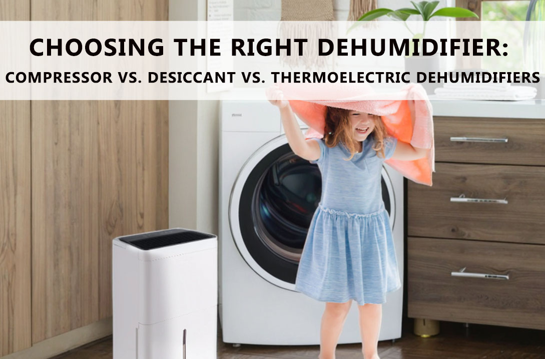 Environmental Impact: Which Is Greener? - visual representation