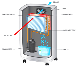 Space Requirements and Physical Design - visual representation