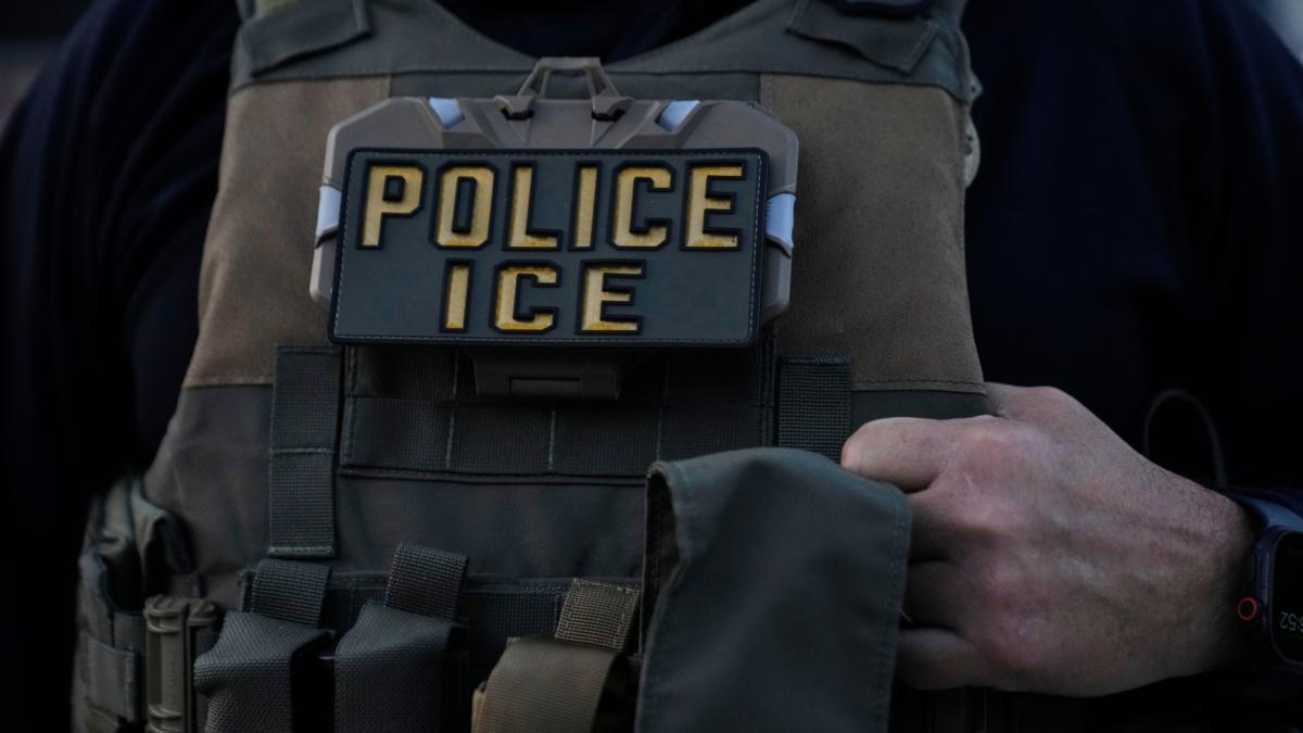 The Broader Pattern: Dozens Detained, Thousands Affected - visual representation