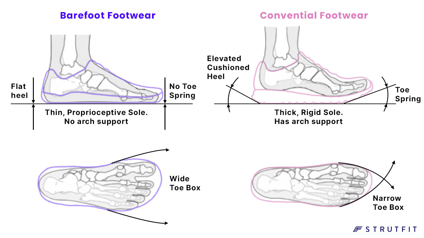What Sets the Vivo Barefoot Motus Strength II Apart? - visual representation