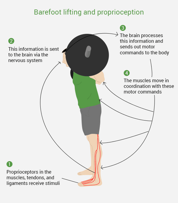 The Science Behind Minimalist Footwear - contextual illustration