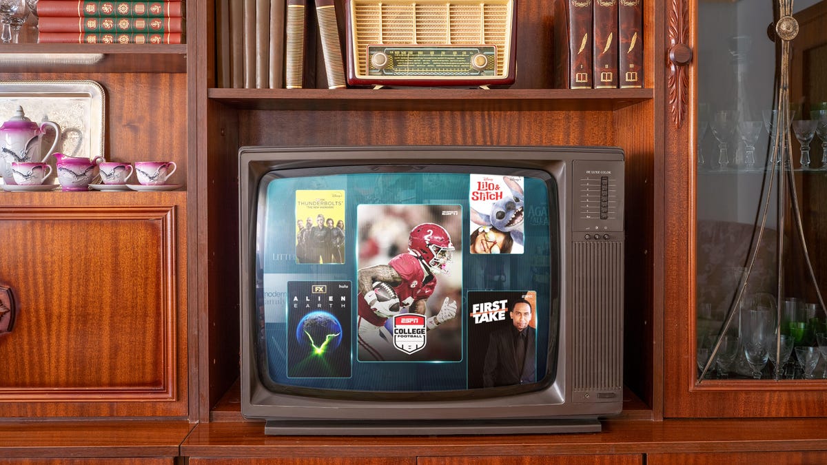 Conclusion: Making the Case for the Disney Bundle - visual representation