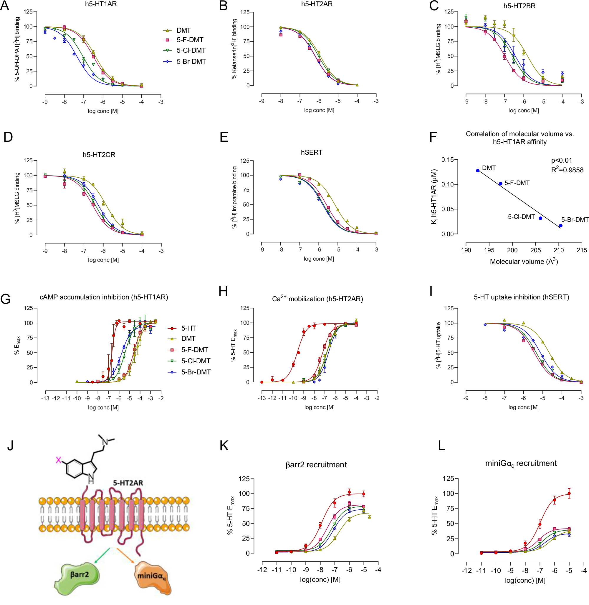 Integration and Therapy: The Psychological Infrastructure That Amplifies Benefits - visual representation