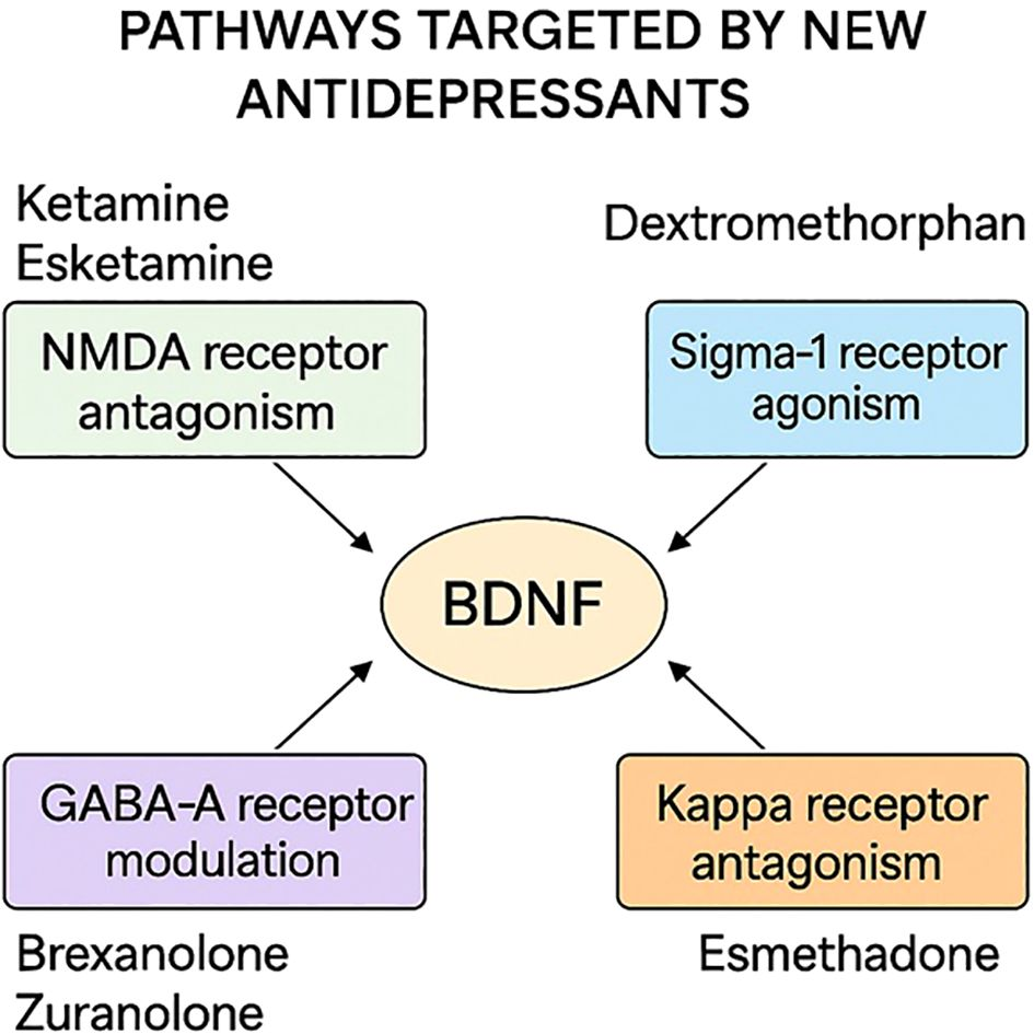 What Makes the London Trial Scientifically Rigorous - visual representation