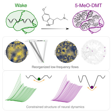 Understanding DMT: What It Is and How It Works in the Brain - contextual illustration