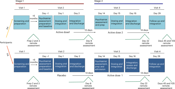 Safety Profile: What We Know and Don't Know Yet - visual representation