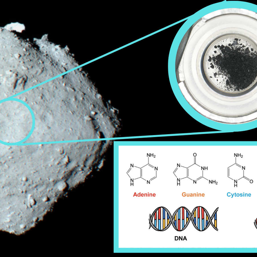 Bacteria That Eat Plastic Waste - visual representation