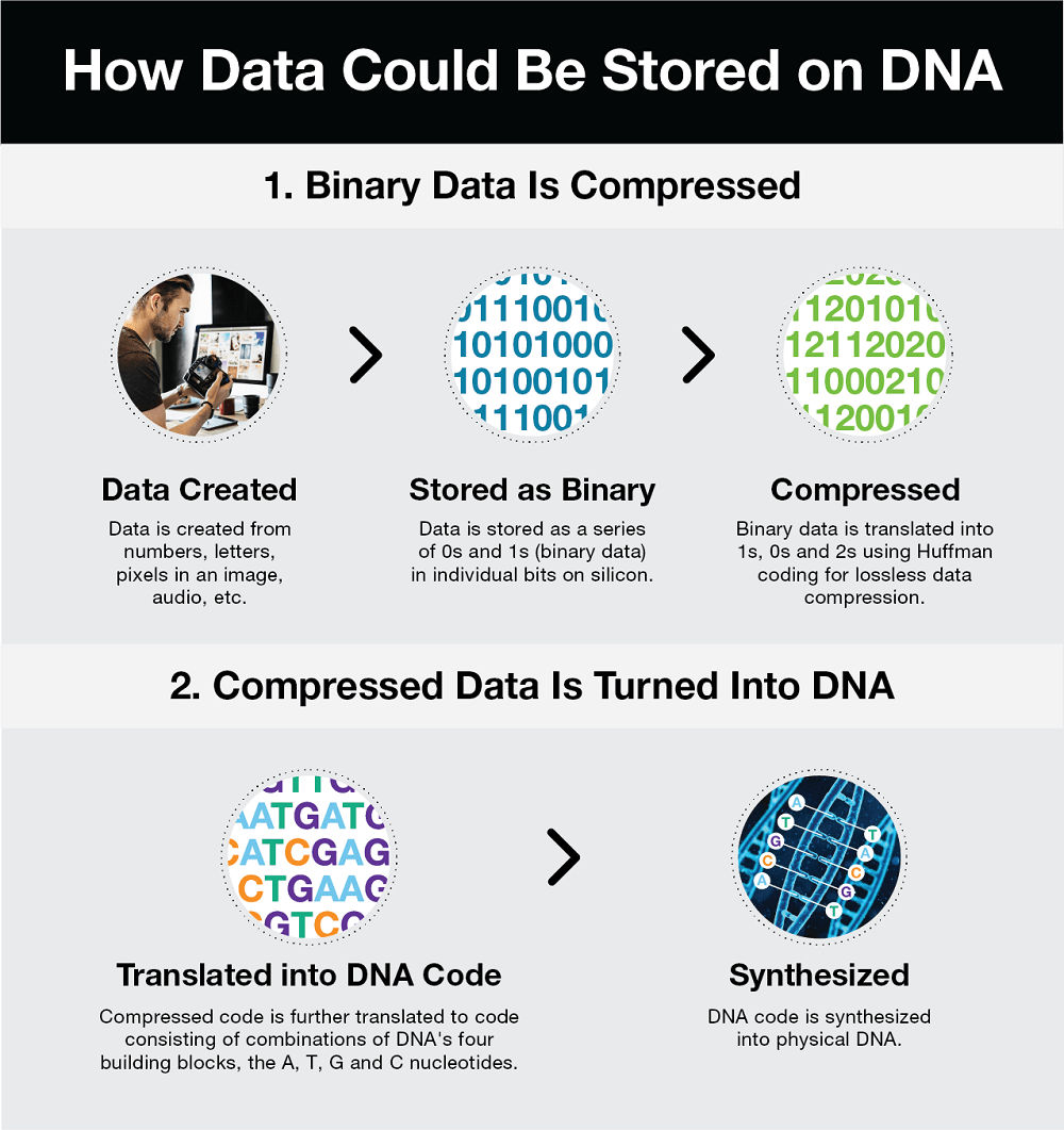 Potential and Promise of DNA Storage - contextual illustration