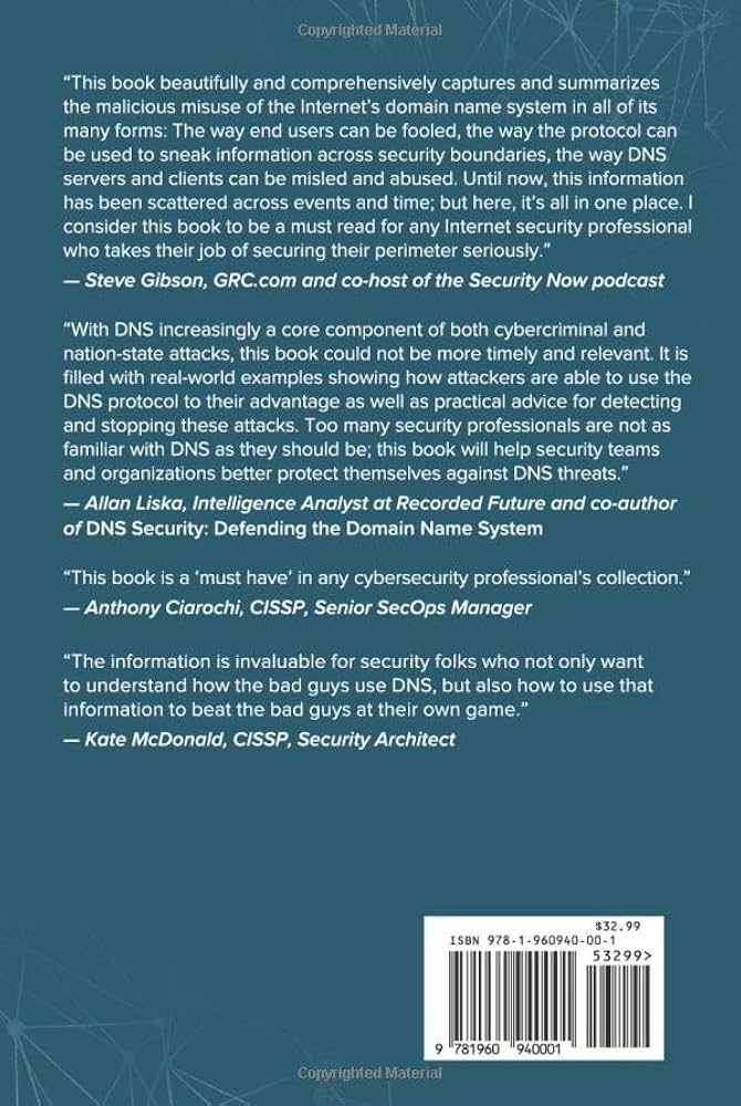 The Future of DNS-Based Attacks - visual representation