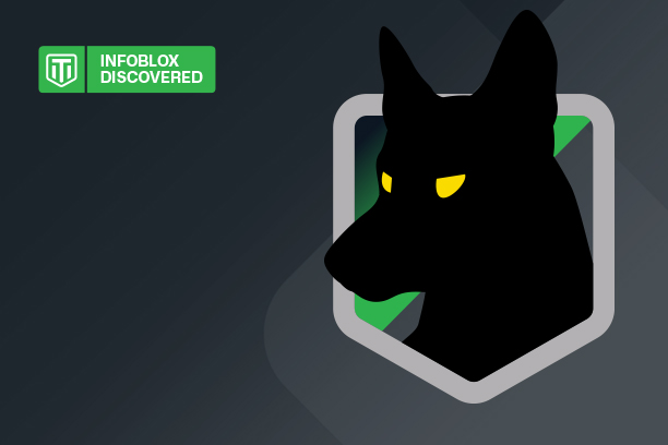 The Scale of Compromise: 30,000+ Websites and Counting - visual representation