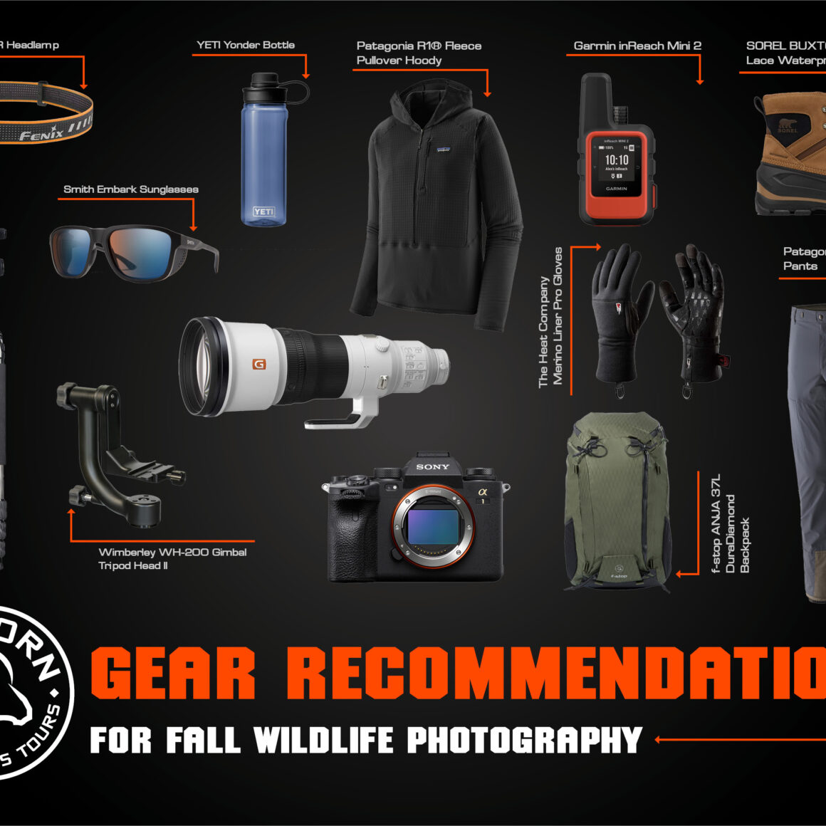 Recommended Gear for Aspiring Wildlife Photographers - contextual illustration