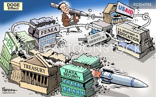 DOGE's Influence in Government - contextual illustration