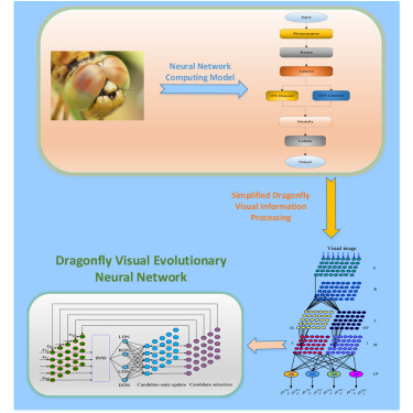 Dragonfly Maneuvers: Aerial Acrobatics - visual representation