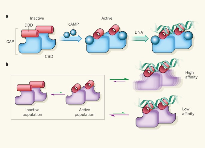 Conclusion - visual representation