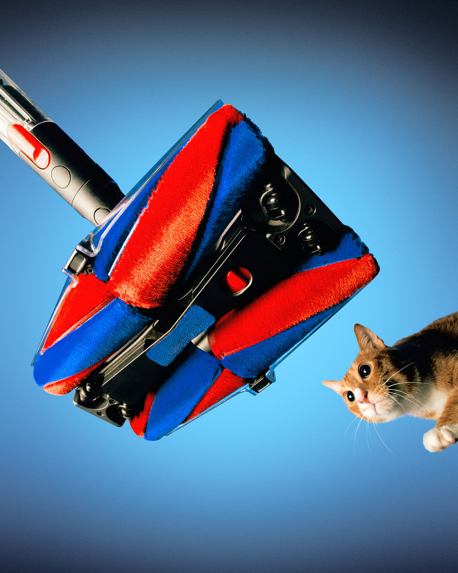 Who Should Actually Buy This Vacuum? - visual representation