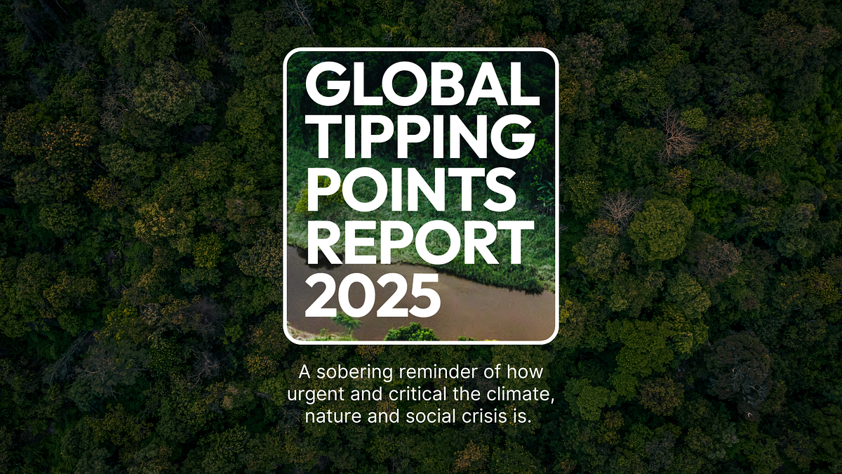 The Window of Decision-Making - visual representation