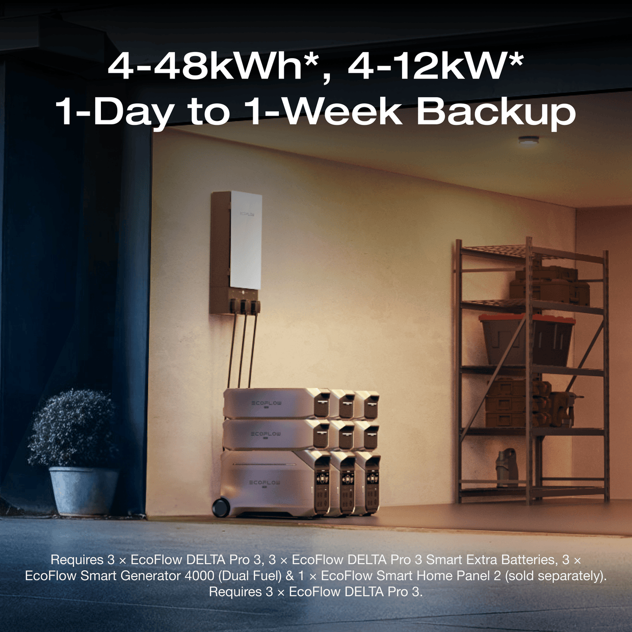 Purchase Timing and Future Considerations - visual representation