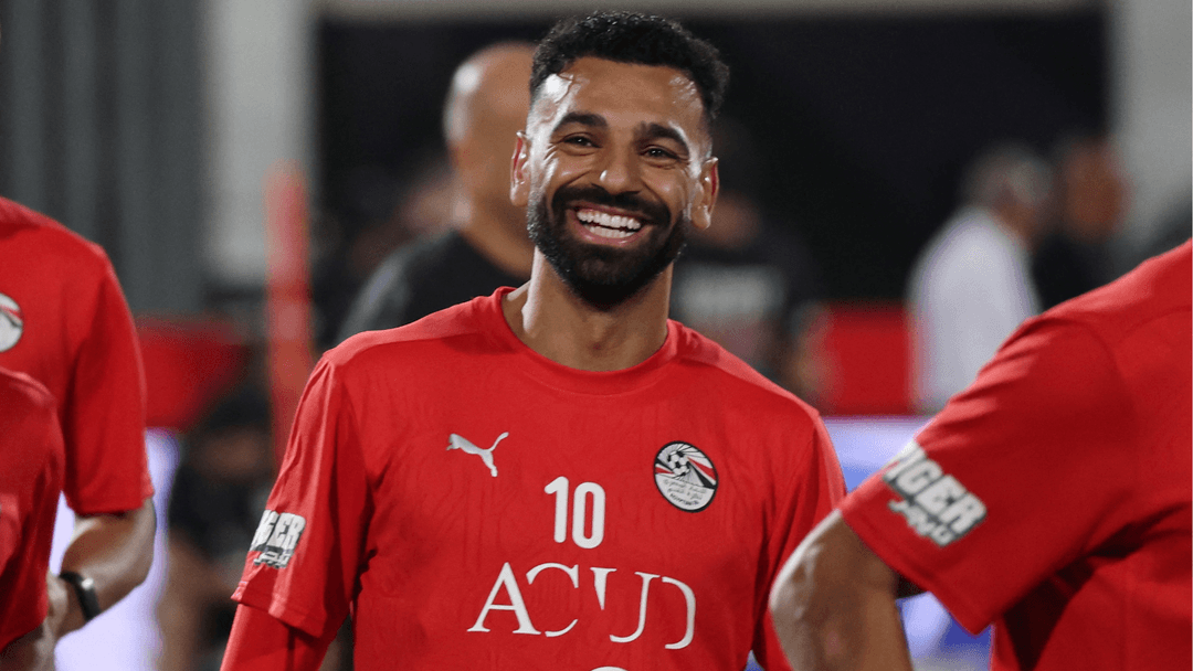 Mobile and Portable Viewing Solutions - visual representation