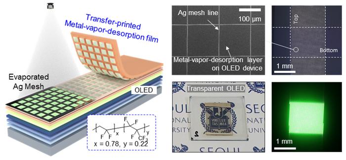 The Genesis of Mesh Optical Technologies - contextual illustration