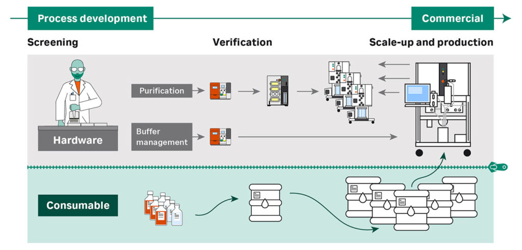 Implementing a Flexible Buffer Strategy - contextual illustration