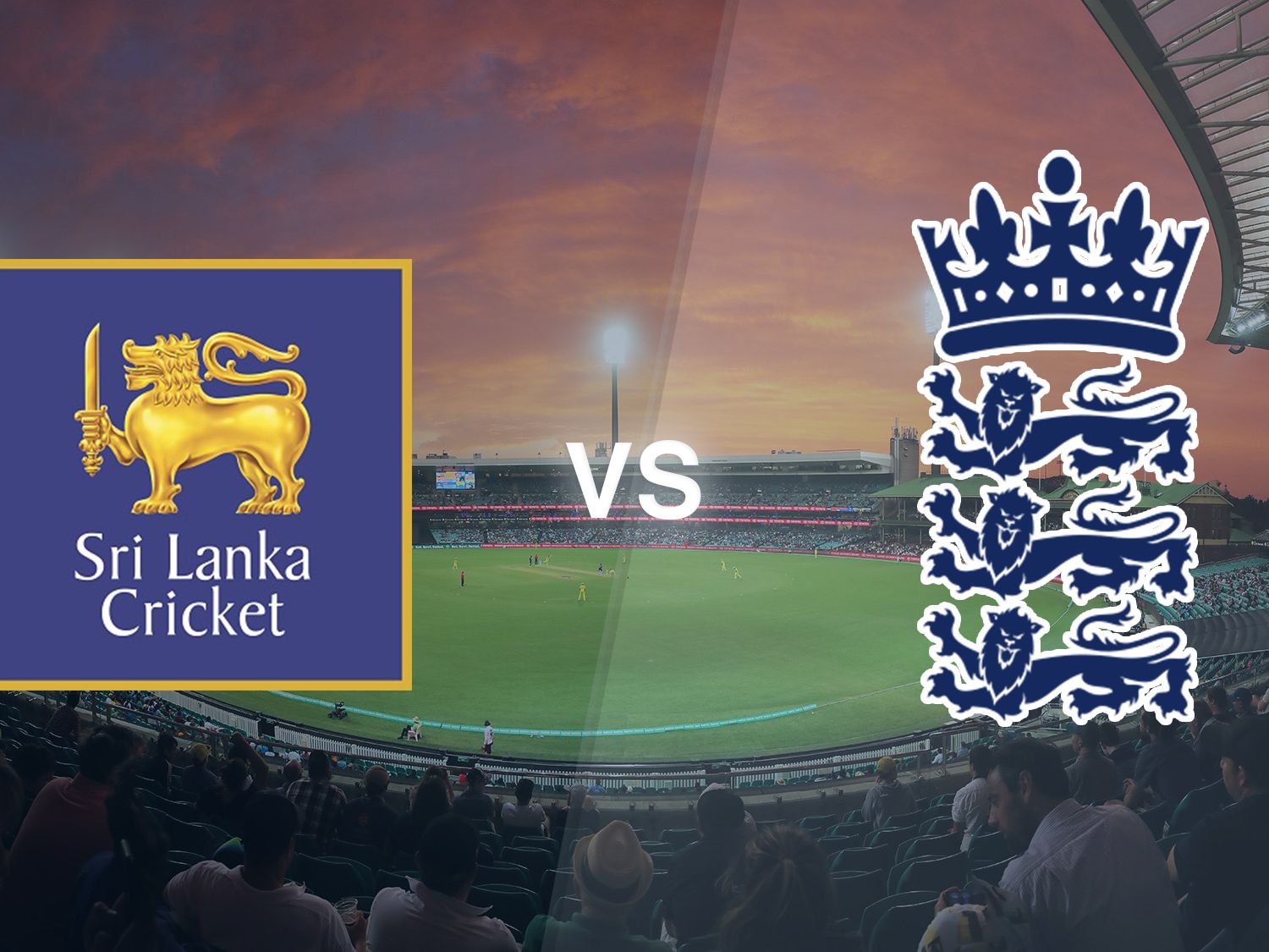 Expert Viewing Recommendations and Optimization Tips - visual representation